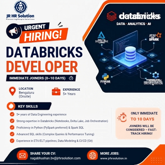Databricks Developer